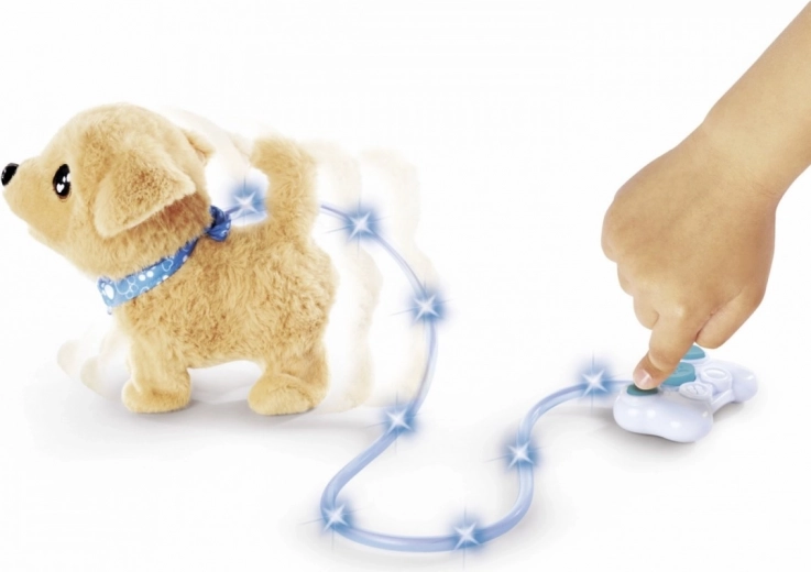 Helendav rihm maagilisteks jalutuskäikudeks