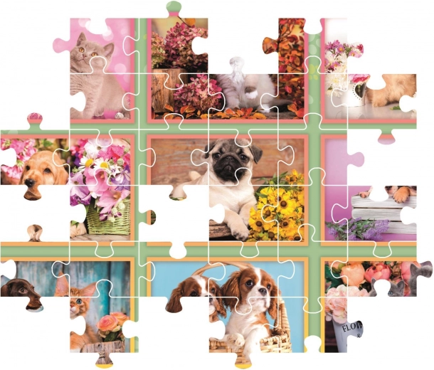 Adorable puppy motif