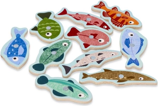 Värvilised kalad köidavad tähelepanu