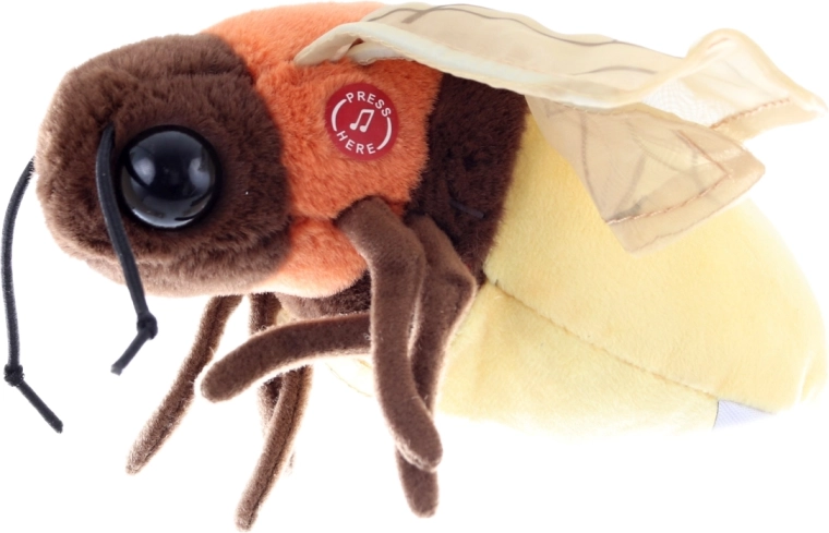 Võluvalgus nupuvajutusega