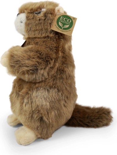 Keskkonnasf4bralik PET-pudelite te4idis