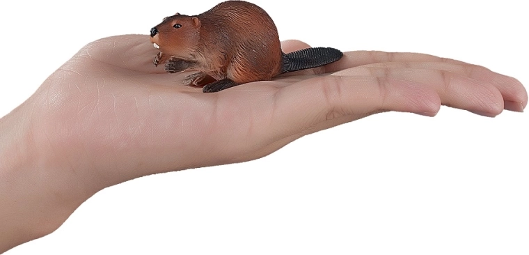 Ideal size for small hands