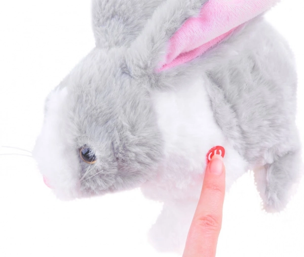 Hüpleb ja reageerib puudutusele