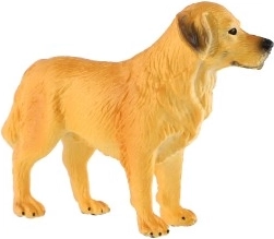 Kompaktne suurus 10 cm
