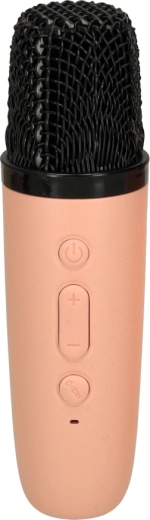 Mikrofon häälemuutusega