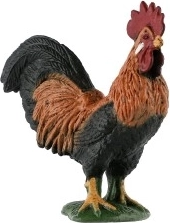 Mitmekülgne kasutus