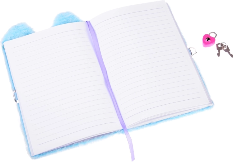 Lockable diary