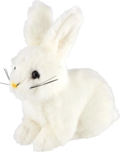 Armsad ja realistlikud detailid