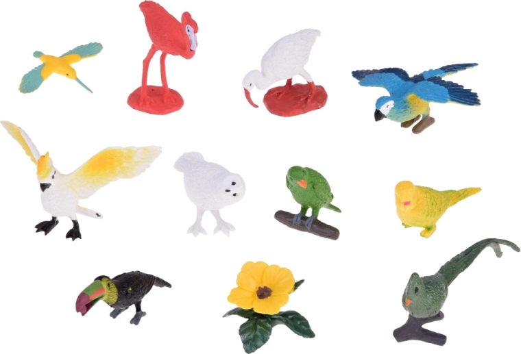 Mitmekesine komplekt 10 eksootilisest linnust