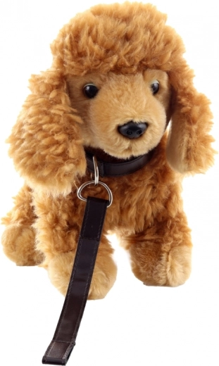 Turvaline ja sobiv alates 0+