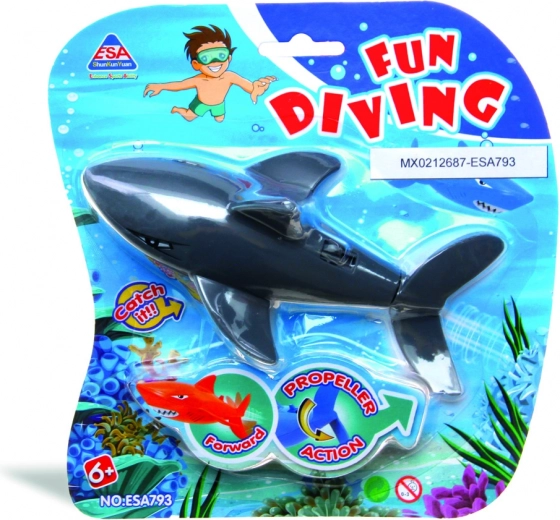 Pakend 'Fun Diving'