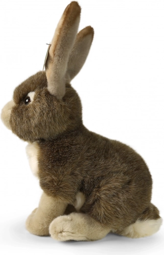 Realistlik välimus ja õrn plüüs