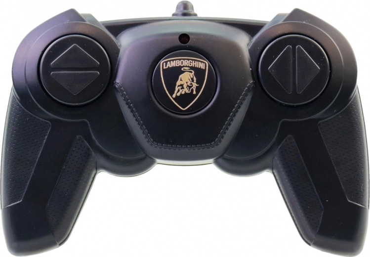 Intuitiivne puldijuhtimine