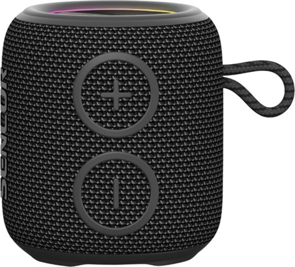 True Wireless Stereo (TWS)