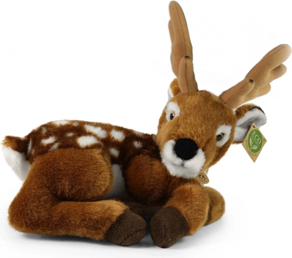 Sobilik alates sünnist, ideaalne kaisutamiseks