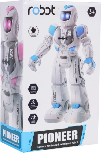 Žestijuhtimine ja 2,4 GHz