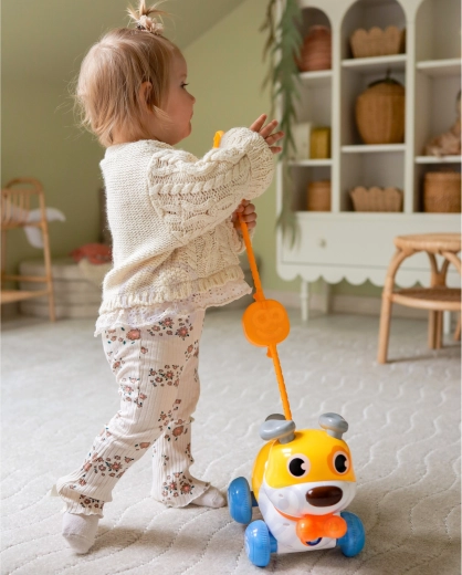 Motoorika ja tasakaalu tugi 2in1