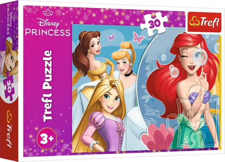 DISNEY PRINCESS printsesside motiiv