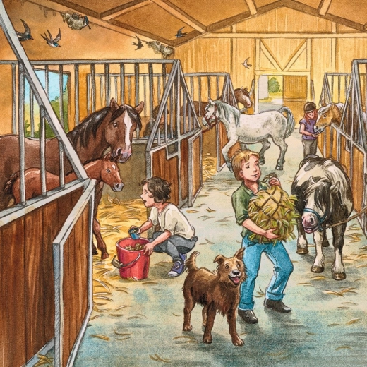 RAVENSBURGERi kvaliteet lihtsaks kokkupanekuks