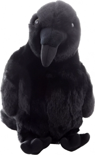 Realistlik välimus ja ideaalsed mõõdud