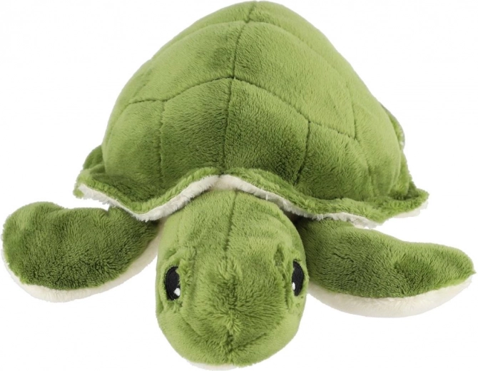 Kompaktsed mõõdud koju ja teele