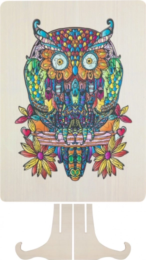 Detailirohke illustratsioon öökullist