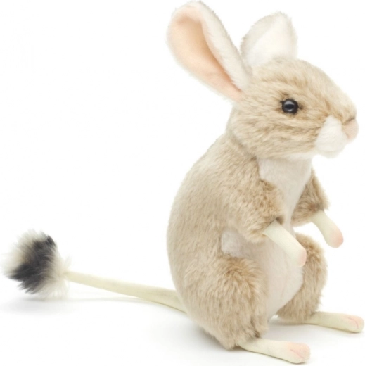 Tarbagani realistlikud detailid