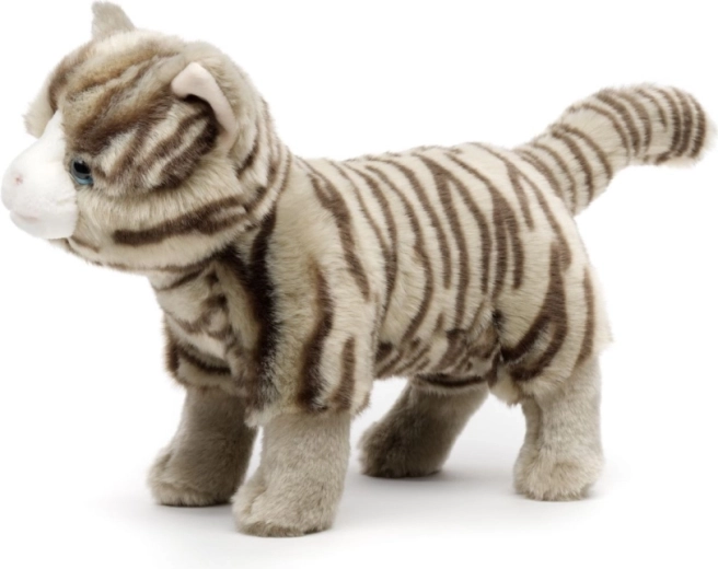 Keskkonnasõbralik teostus