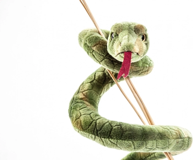 Elastne kehatüvi loominguliseks mänguks