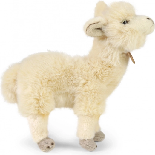 Pehme ja kvaliteetne plüüš