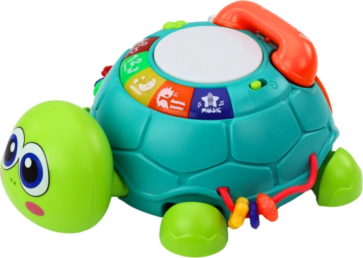 Musical and Learning Functions