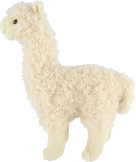 Seisev disain mänguks ja dekoratsiooniks