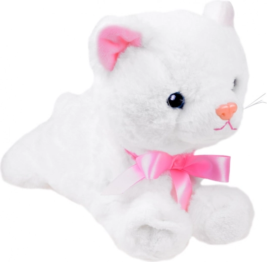 Lõbusad akrobaatilised liigutused