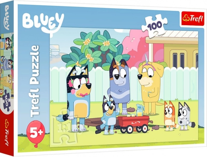 BLUEY lemmikkangelased