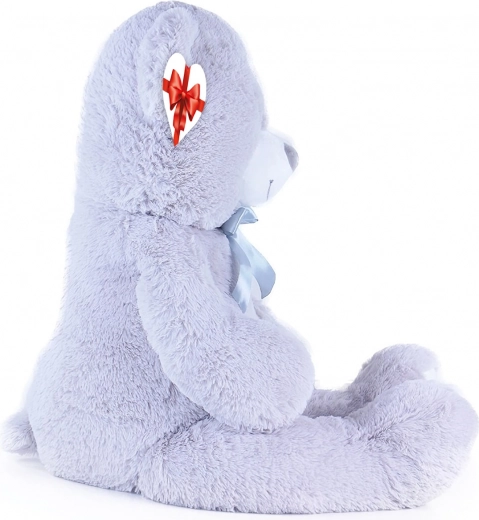 Kingituse detailid pühendusega