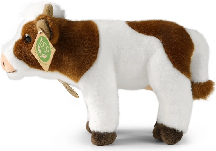 Õrn ja pehme plüüs