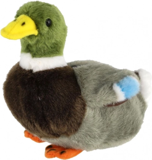 Sinikael-pardi realistlik värvus