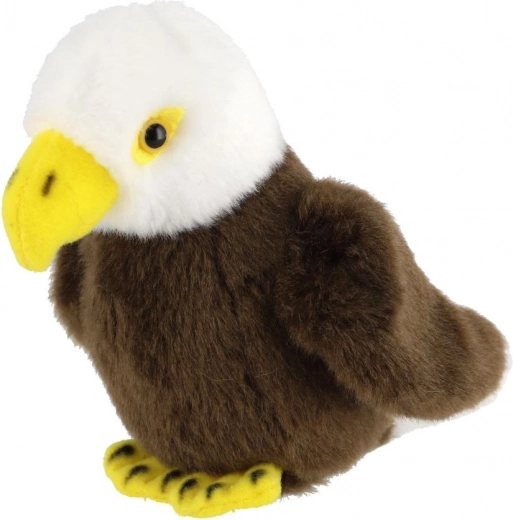 Kompaktne suurus 13 cm