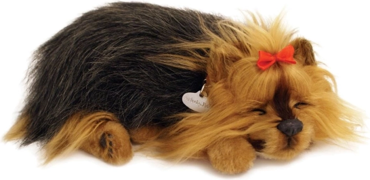 Realistlik uni ja õrn norskamine