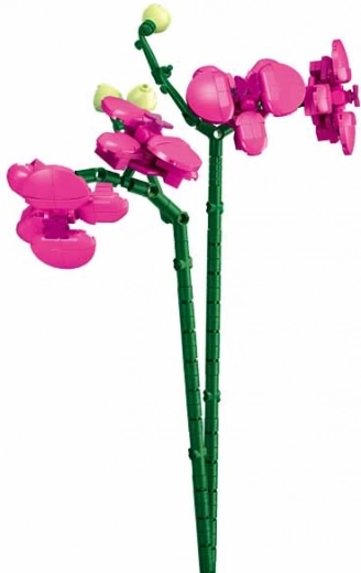 Realistlik orhidee kui disain-dekoratsioon