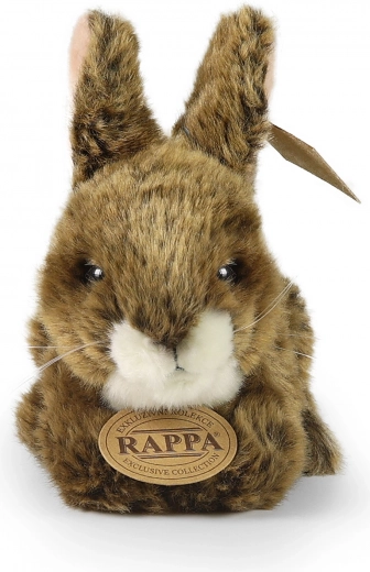 RAPPA eksklusiivne kollektsioon