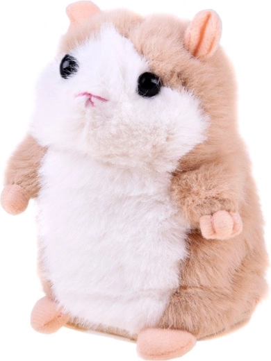 Kordab seda, mida ütlete