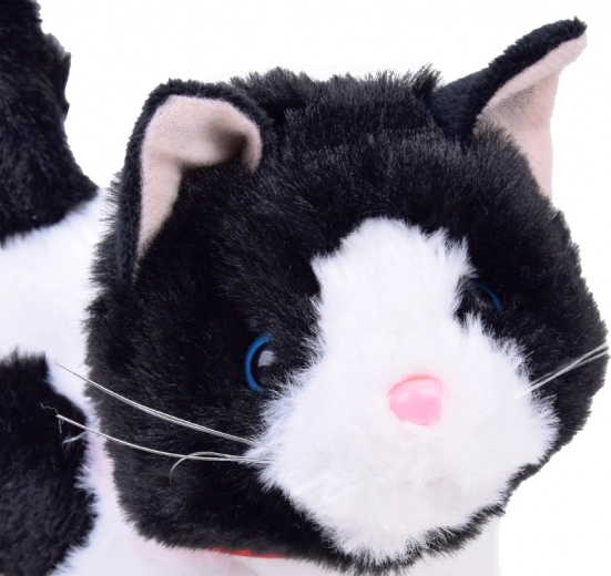 Helid nagu päris kassipojal