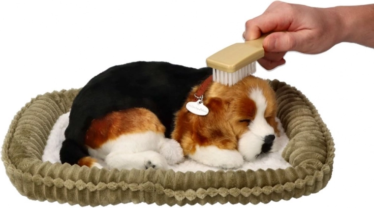 Beagle’i tõutruud detailid
