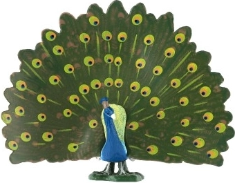 Realistlikud värvid ja sulgede detailid