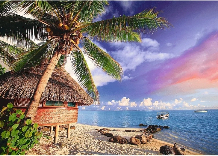 A soothing tropical theme