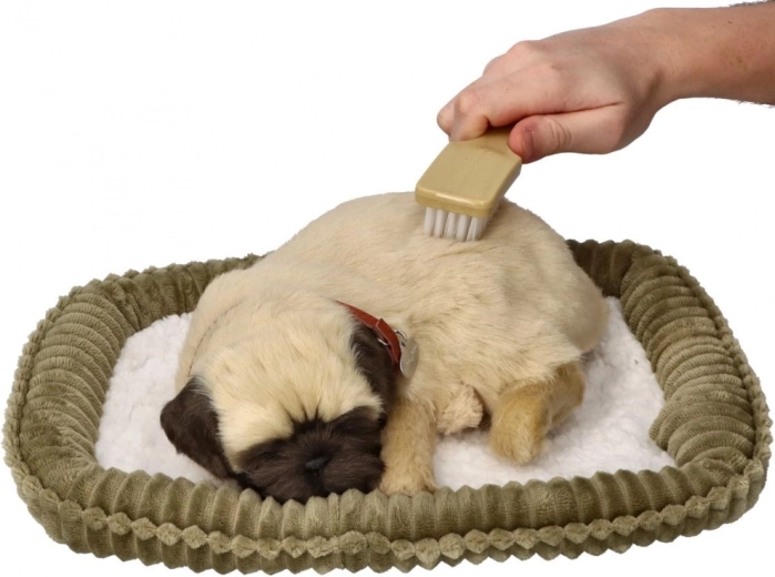 Pehme karv ja lihtne hooldus