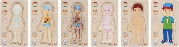 Explore the body layer by layer