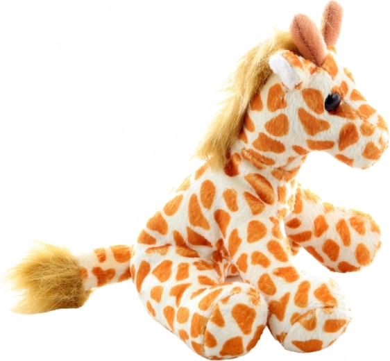 Stabiilne konstruktsioon