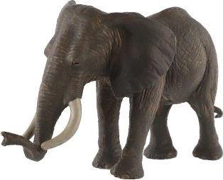 Toetab loovust ja õppimist